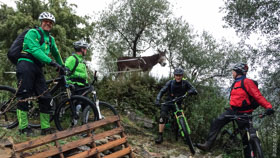 Trailcamp Ligurien - Trailxperience - März 2014 / der Namensgeber - Donkeytrail  -  23. März 2014
