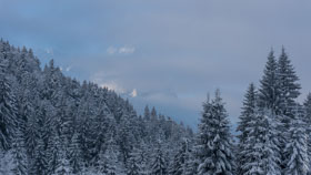 Waxensteine und Zugspitze - Suchbild im Nebel  -  07. Februar 2015