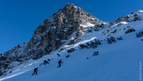 Mauerschartenkopf  -  07. Februar 2015