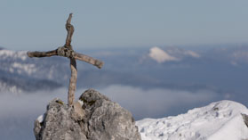 Mauerschartenkopf  -  07. Februar 2015