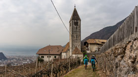 Bozen MTB - Januar 2016 /   -  30. Januar 2016